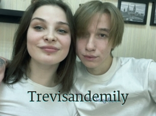 Trevisandemily