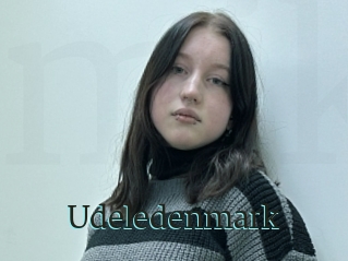 Udeledenmark