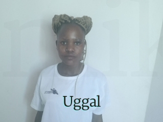 Uggal