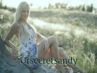 Ursecretsandy