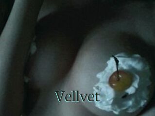 Vellvet