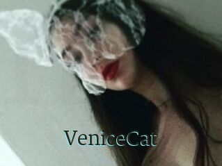 VeniceCat