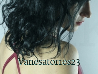 Vanesatorres23