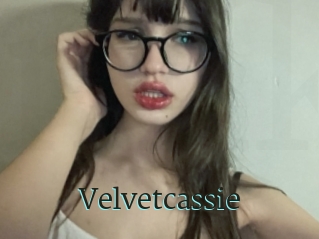 Velvetcassie