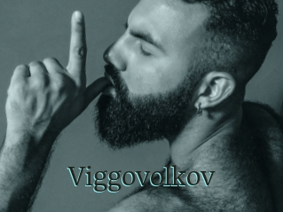 Viggovolkov