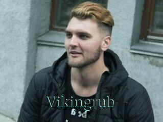 Vikingrub