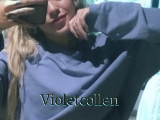 Violetcollen