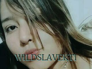 WILDSLAVEKTI