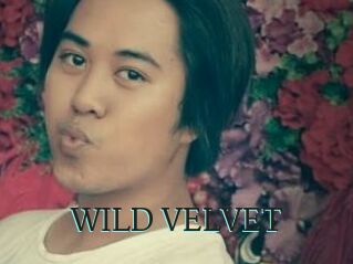 WILD_VELVET