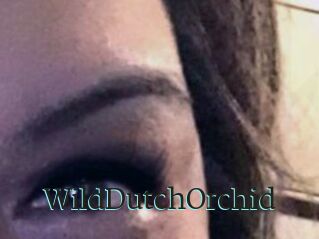 WildDutchOrchid