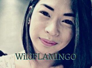 WildFLAMINGO