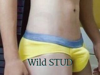 Wild_STUD