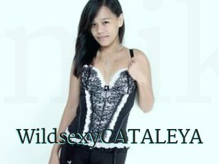 WildsexyCATALEYA