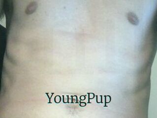 YoungPup