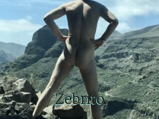 Zebrito